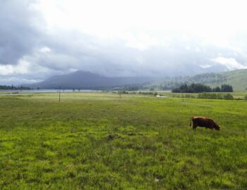Loch Tulla.