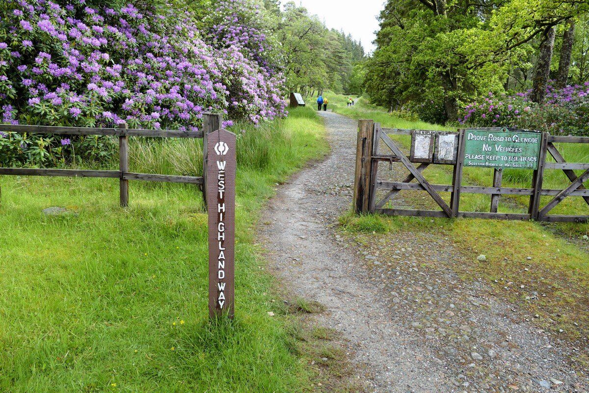 Auf dem Weg durch das Rannoch Moor.