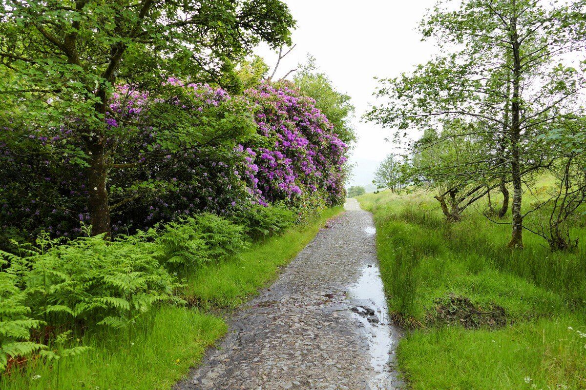 Auf dem Weg durch das Rannoch Moor.
