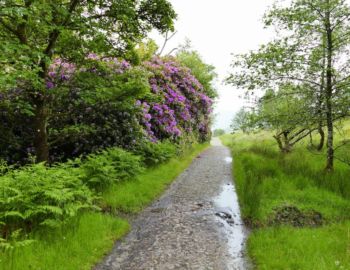 Auf dem Weg durch das Rannoch Moor.