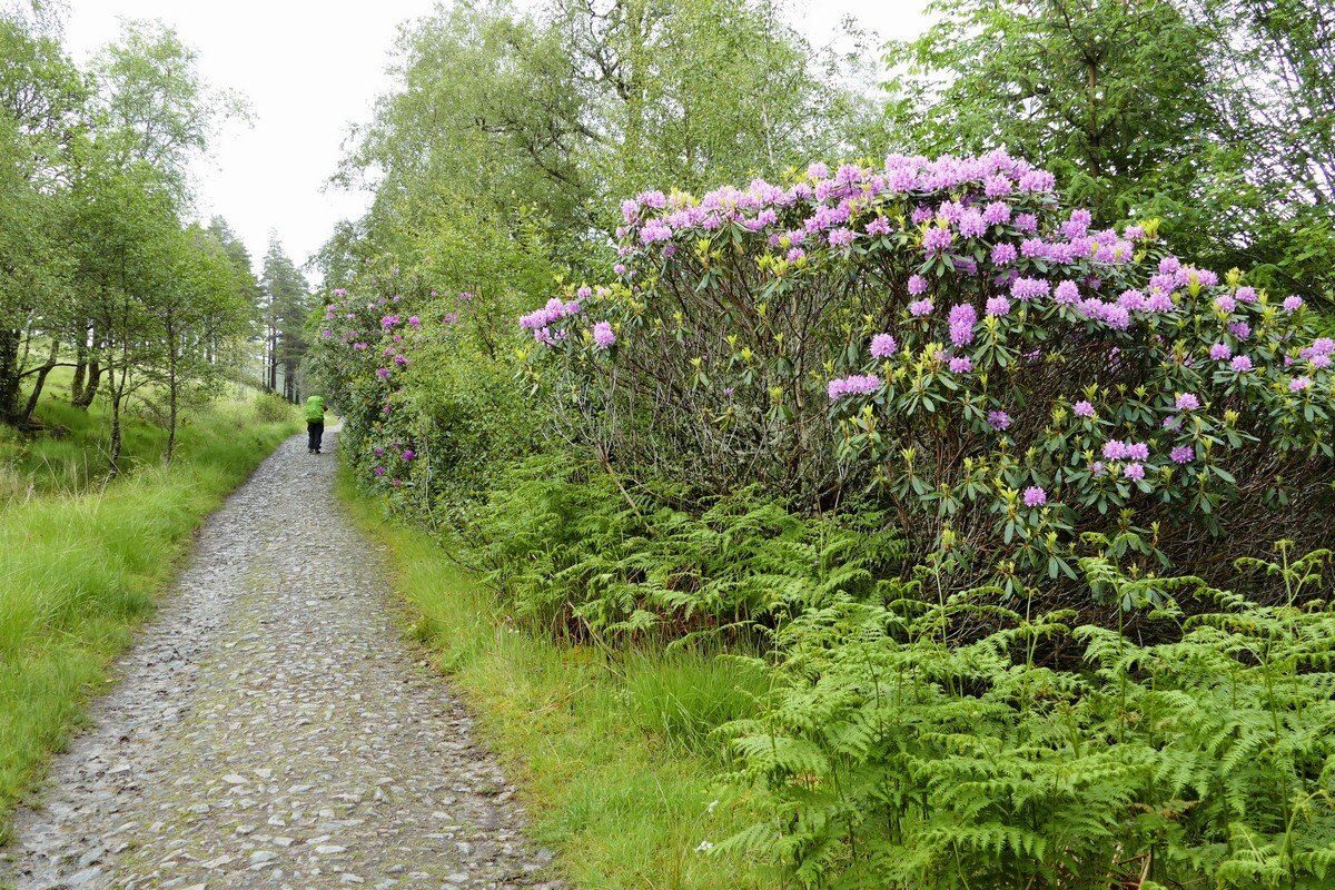 Auf dem Weg durch das Rannoch Moor.