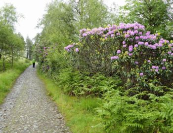 Auf dem Weg durch das Rannoch Moor.