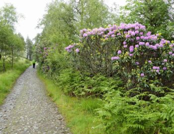 Auf dem Weg durch das Rannoch Moor.