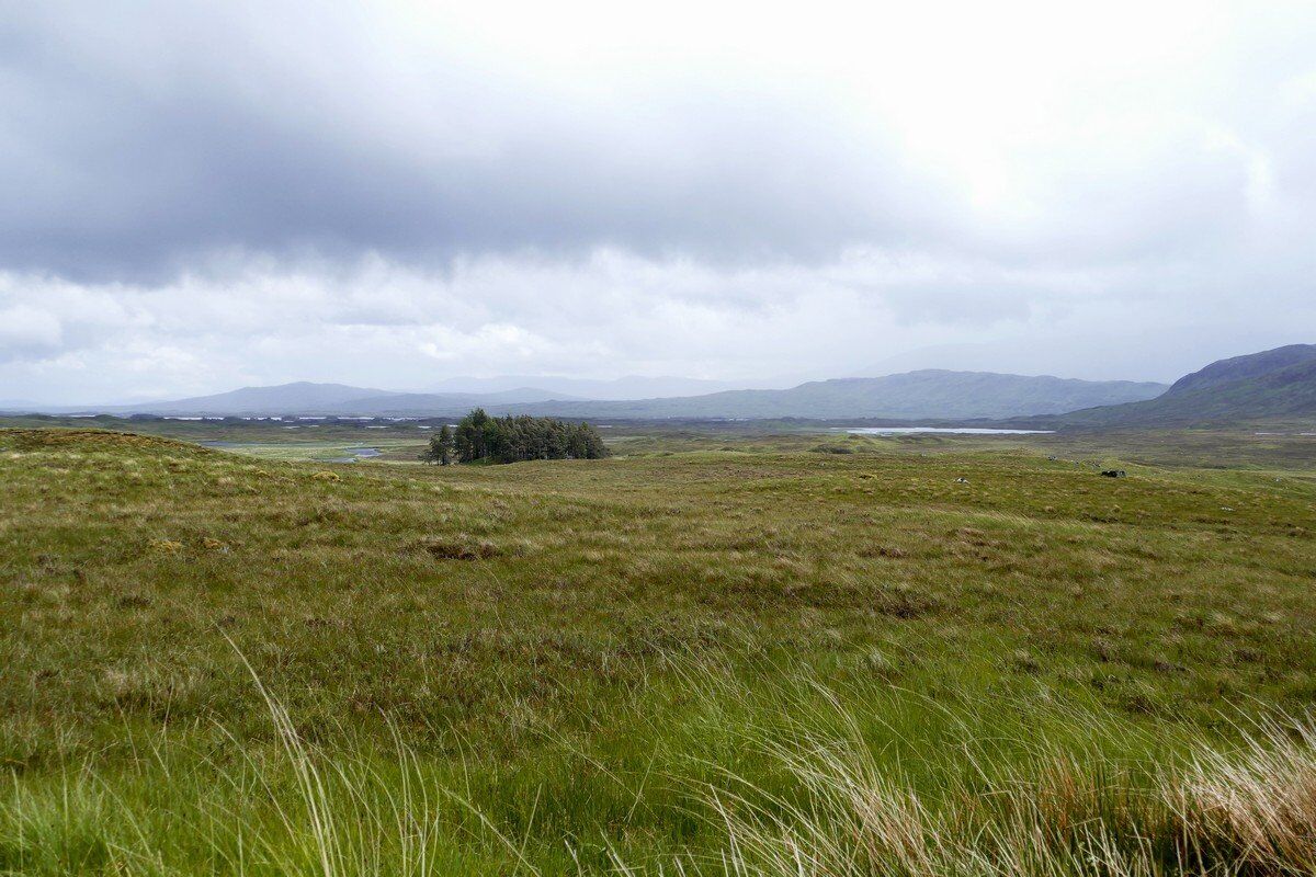 Auf dem Weg durch das Rannoch Moor.