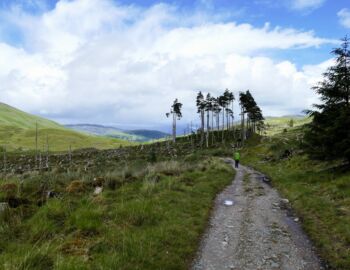 Auf der alten Militärstraße.