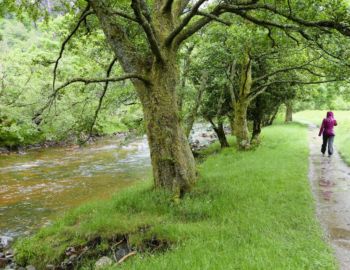 Im Glen Nevis.