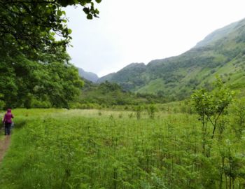 Im Glen Nevis.