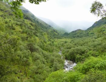Nevis-Gorge.