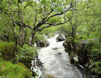 River Nevis.