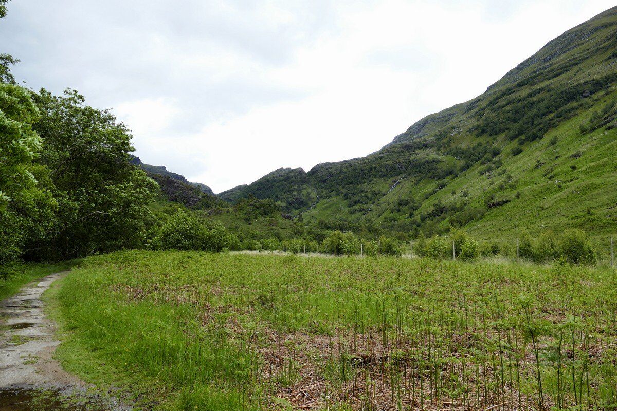 Im Glen Nevis.