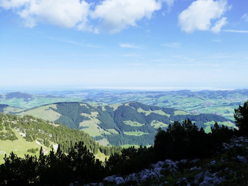 Der Bodensee ist noch im Nebel.