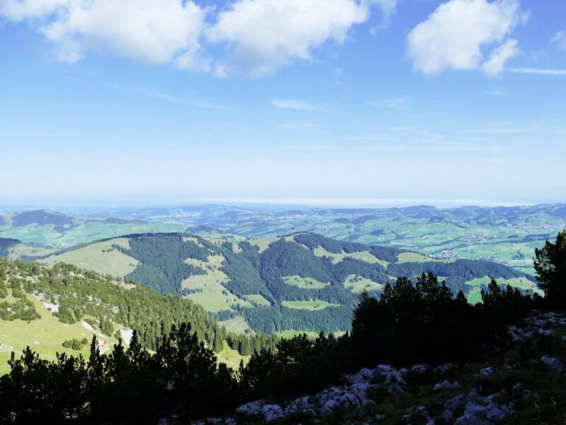 Der Bodensee ist noch im Nebel.