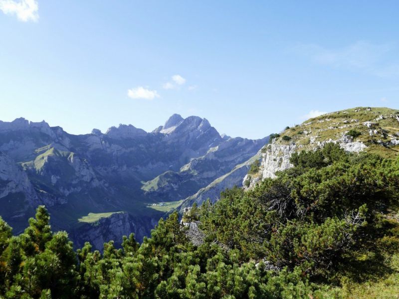 Altmann mit Rotsteinpass.
