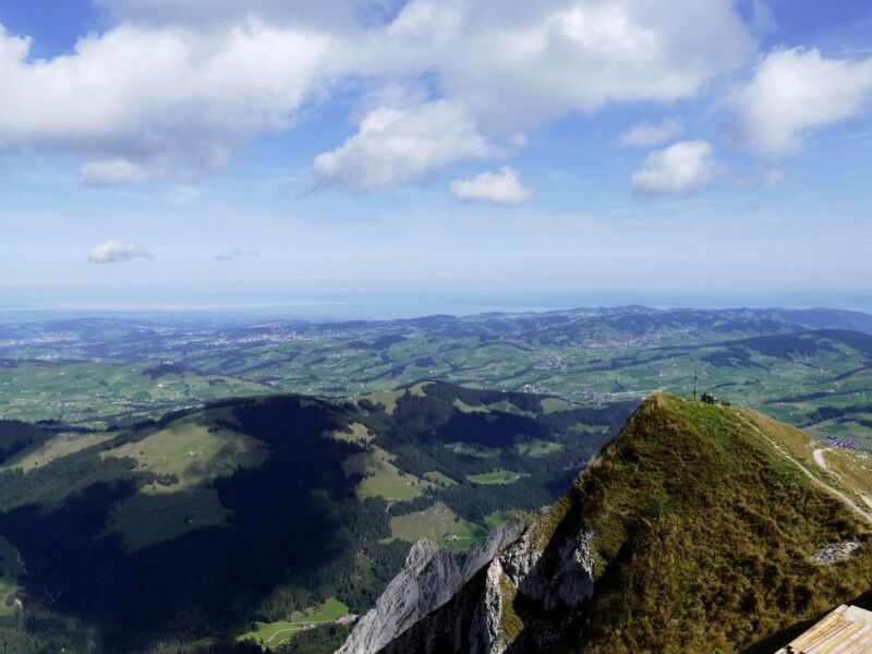 Blick auf den Bodensee.