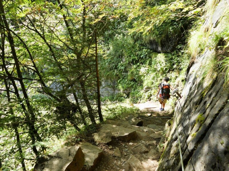 Abstieg zum Seealpsee.
