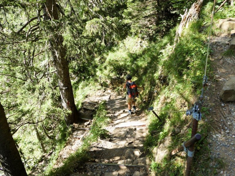 Abstieg zum Seealpsee.