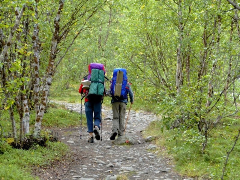 Auf dem Kungsleden nach Abiskojaure.