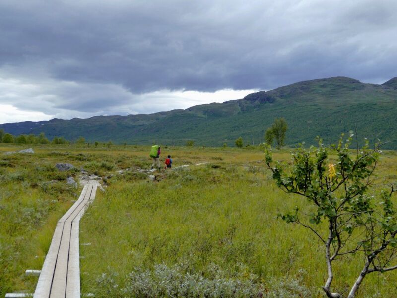 Offenes Fjäll vor Abiskojaure.