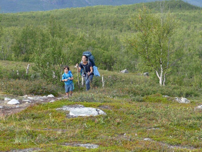 Steil geht es durch den Birkenwald hoch.