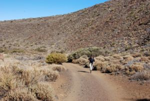 Cañadas del Teide.