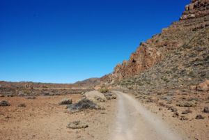 Cañadas del Teide.