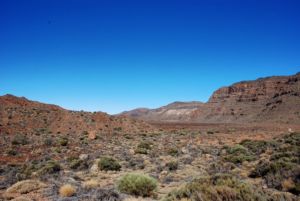 Cañadas del Teide.