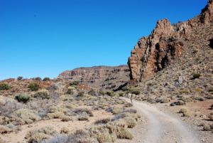 Cañadas del Teide.
