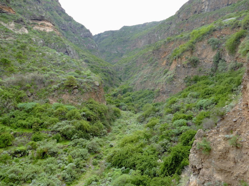 Blick in den Barranco de Ruiz.
