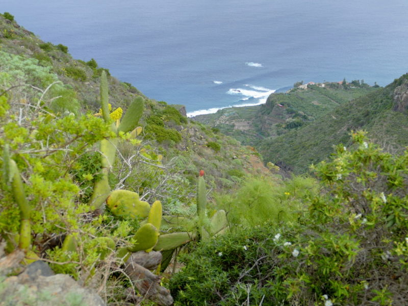 Im Barranco de Ruiz.