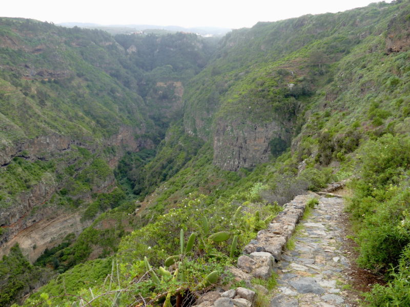 Im Barranco de Ruiz.