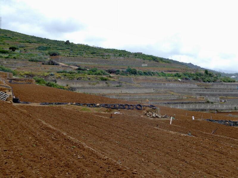 Abstieg nach San Juan de La Rambla.