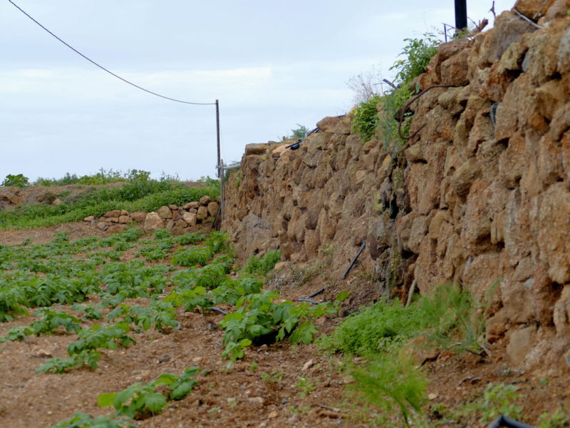 Abstieg nach San Juan de La Rambla.