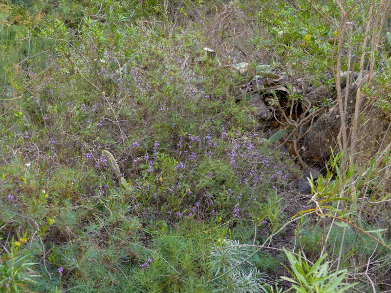 Im Barranco del Infierno.