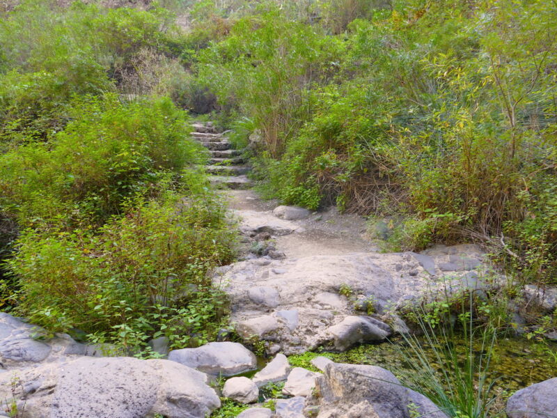 Im Barranco del Infierno.