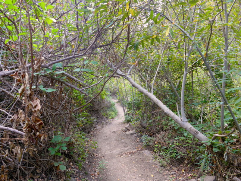 Im Barranco del Infierno.