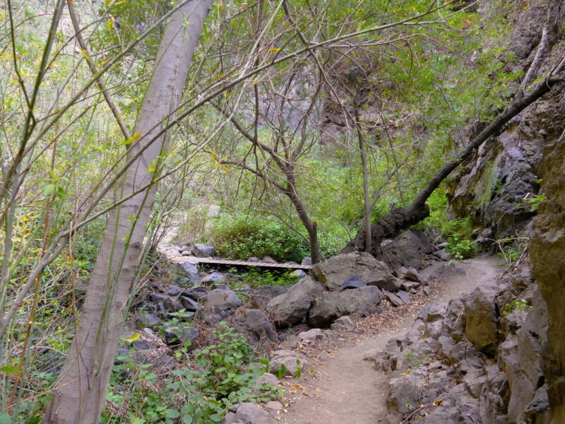 Im Barranco del Infierno.