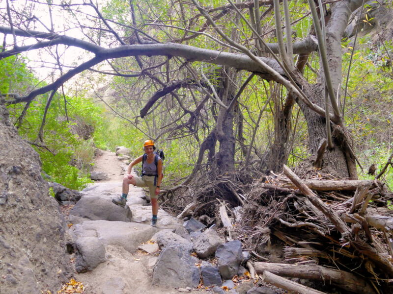 Im Barranco - auf dem Rückweg.