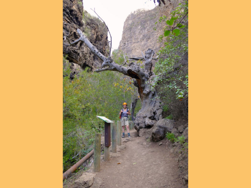 Im Barranco - auf dem Rückweg.