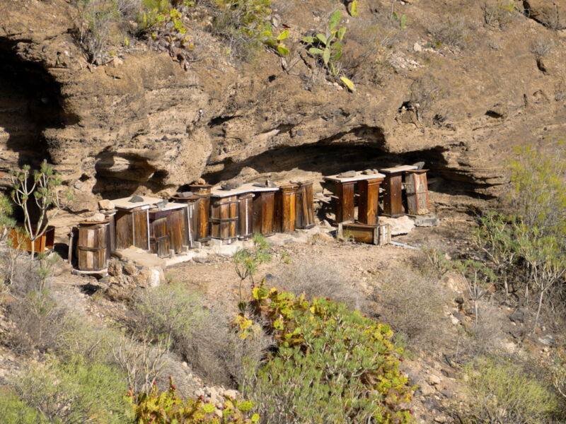 Im Barranco - alte, nicht mehr benutzte Bienenkästen.