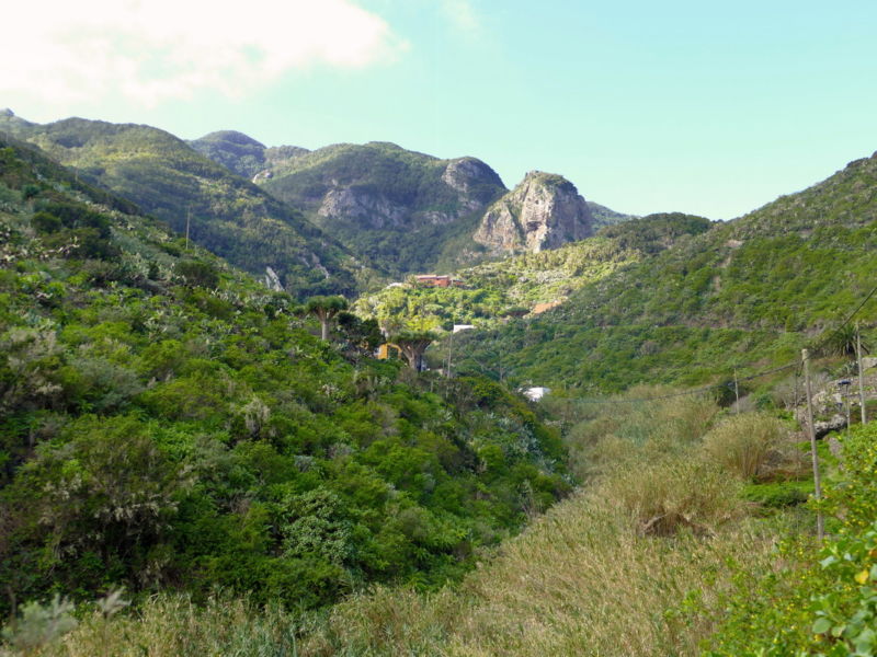 Im Barranco de Roque Bermejo.