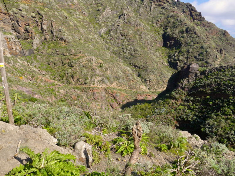 Im Barranco de Roque Bermejo.