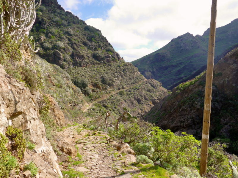 Im Barranco de Roque Bermejo.