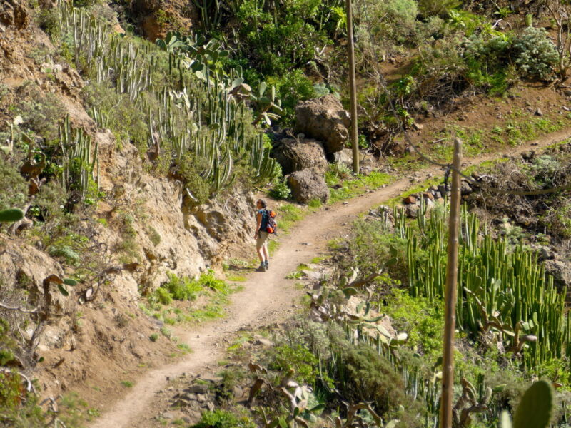 Im Barranco de Roque Bermejo.