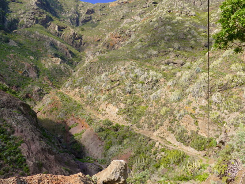 Im Barranco de Roque Bermejo.