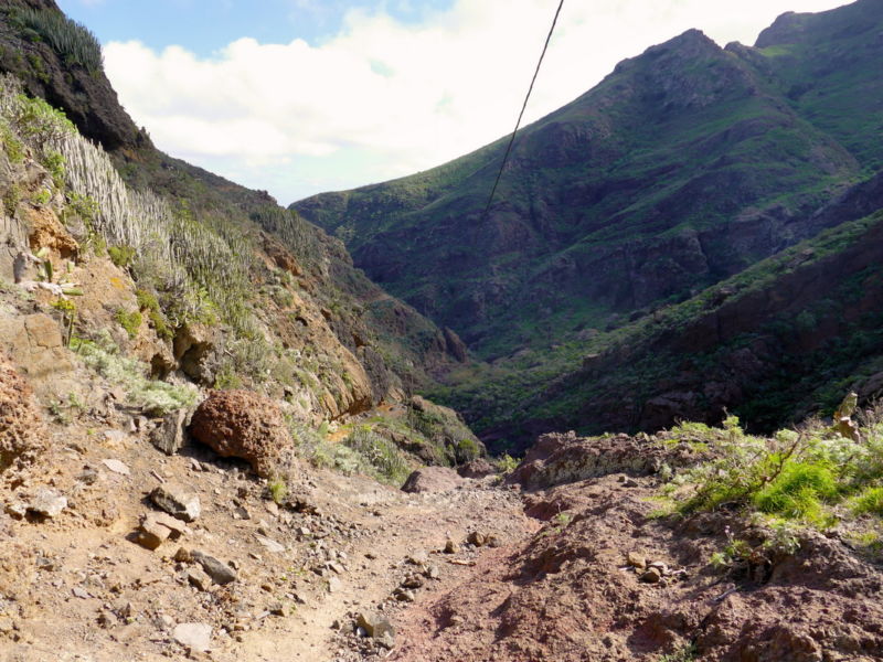 Im Barranco de Roque Bermejo.