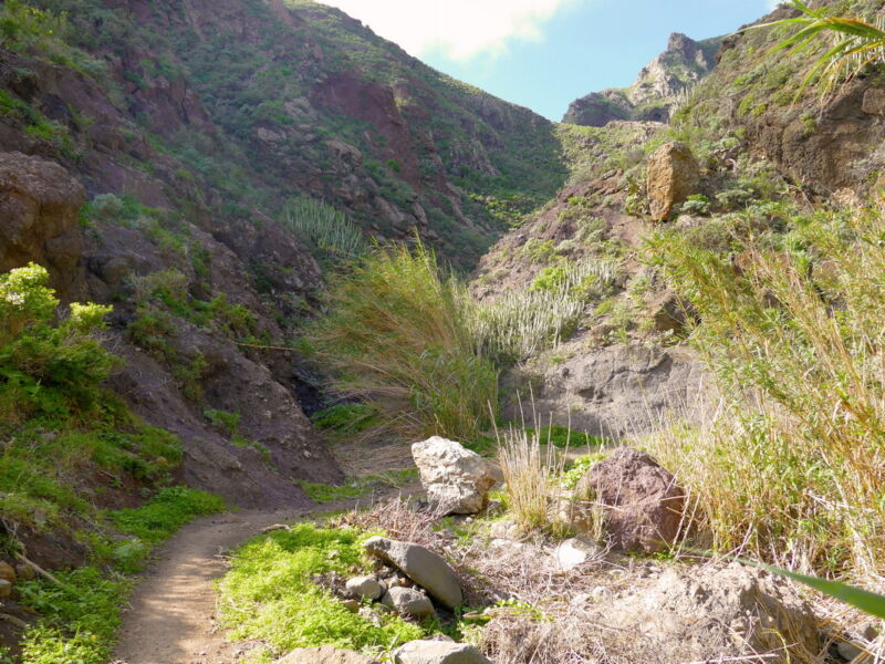 Im Barranco de Roque Bermejo.