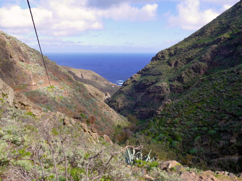 Im Barranco de Roque Bermejo.