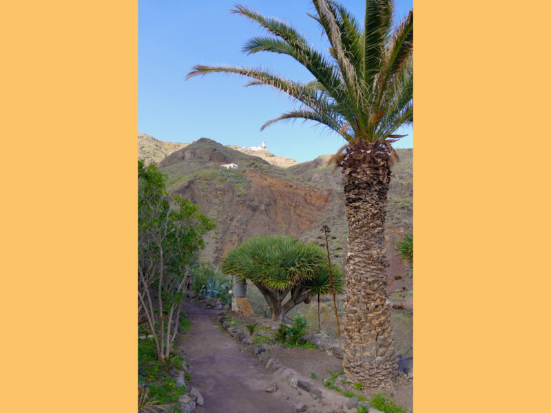 Im Barranco de Roque Bermejo.