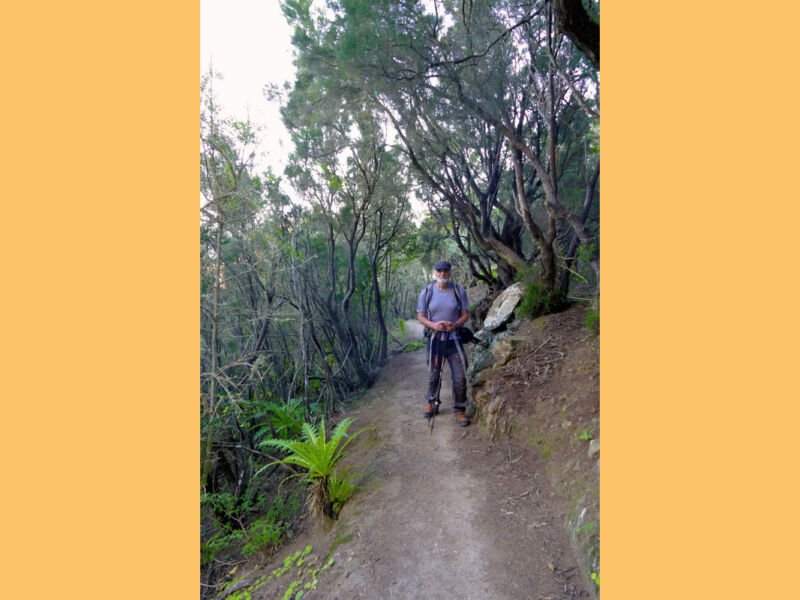 Auf dem Rückweg nach Chamorga.