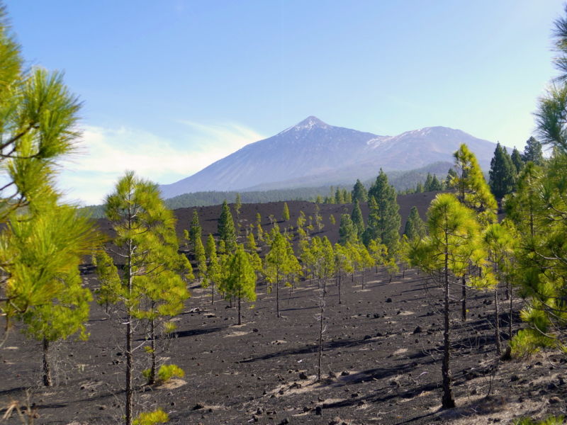 Teide.